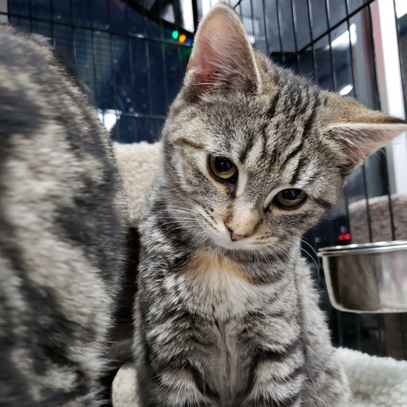 Meet your Posher, Brooke - Picture 7 of 8